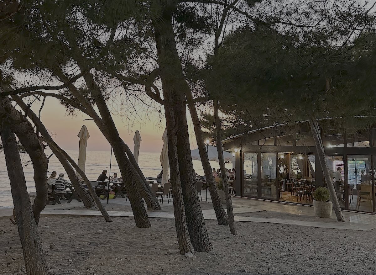 Caffe Pizzeria Forest