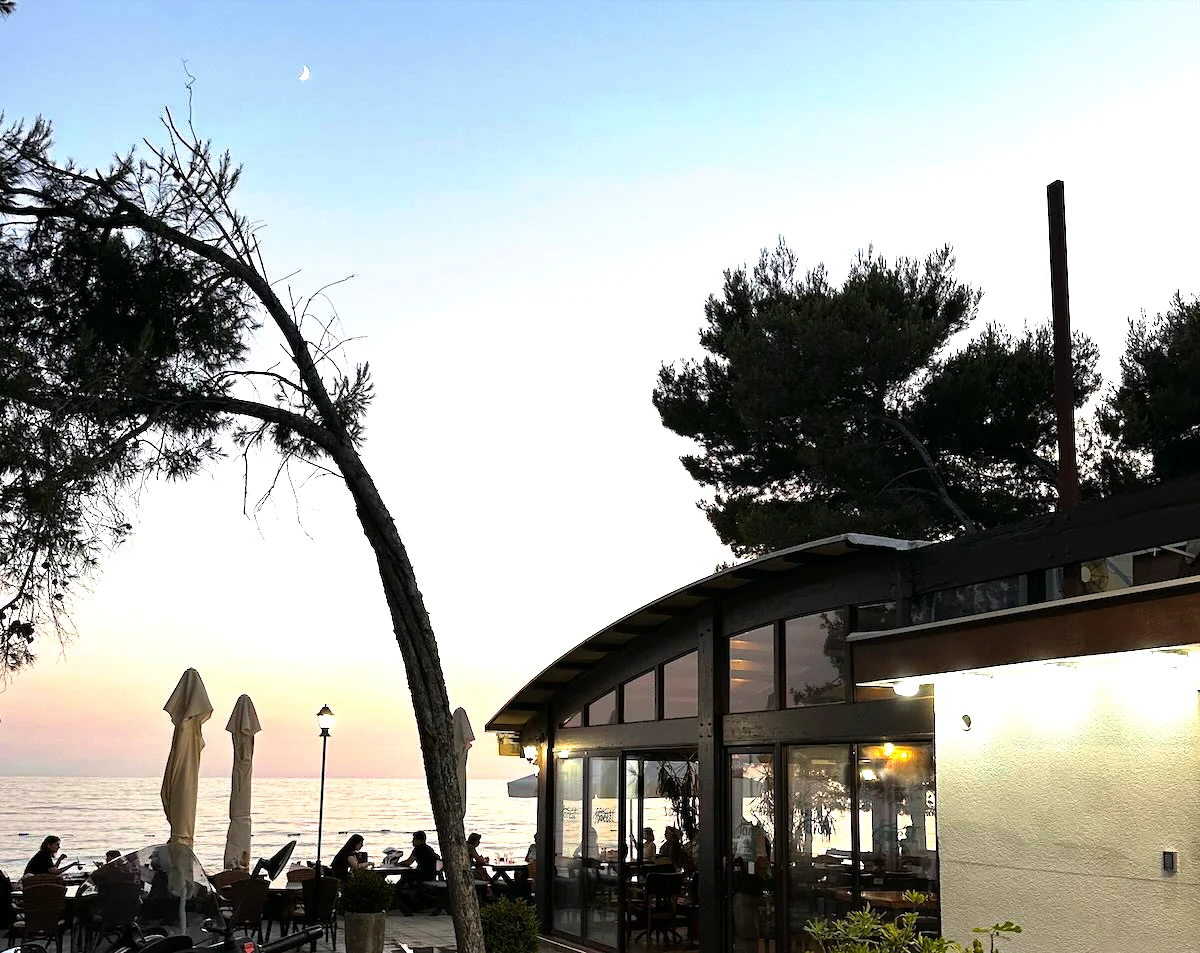 Caffe Pizzeria Forest