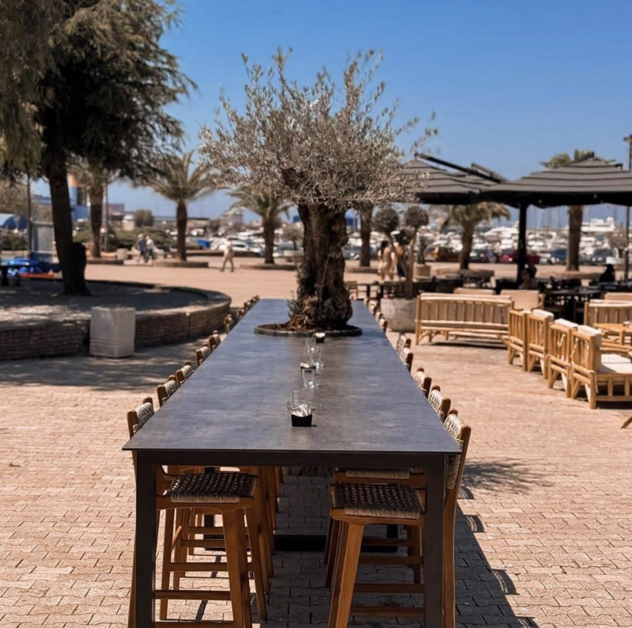 Ritual - Restaurant Bar